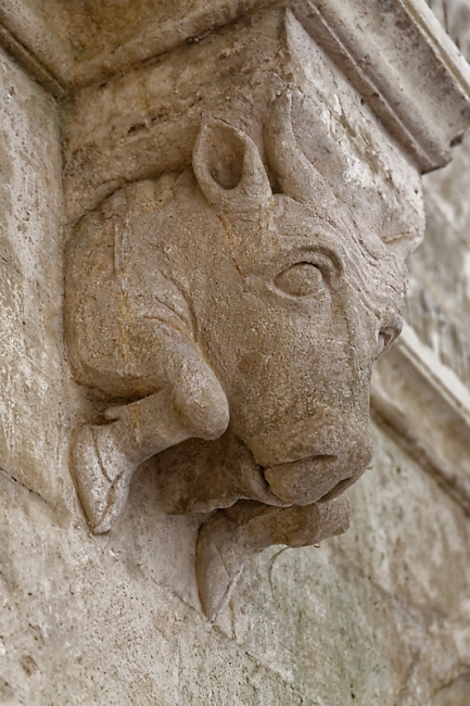 Abbaye de Montmajour-035